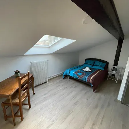Bel 2 Chambres Artem/nancy Thermal نانسي